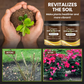 Soil Loosening Agent: For Better Aeration & Plant Growth! 🌱✨