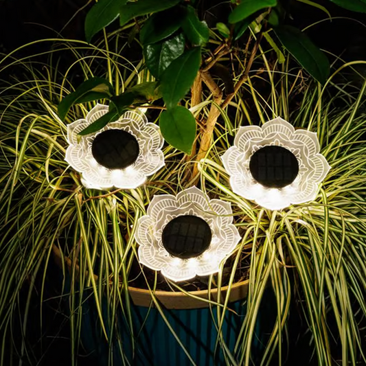 🌙Solar-Powered Waterproof Outdoor Decorative Light🔆
