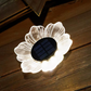 🌙Solar-Powered Waterproof Outdoor Decorative Light🔆