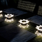 🌙Solar-Powered Waterproof Outdoor Decorative Light🔆