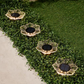 🌙Solar-Powered Waterproof Outdoor Decorative Light🔆