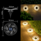 🌙Solar-Powered Waterproof Outdoor Decorative Light🔆